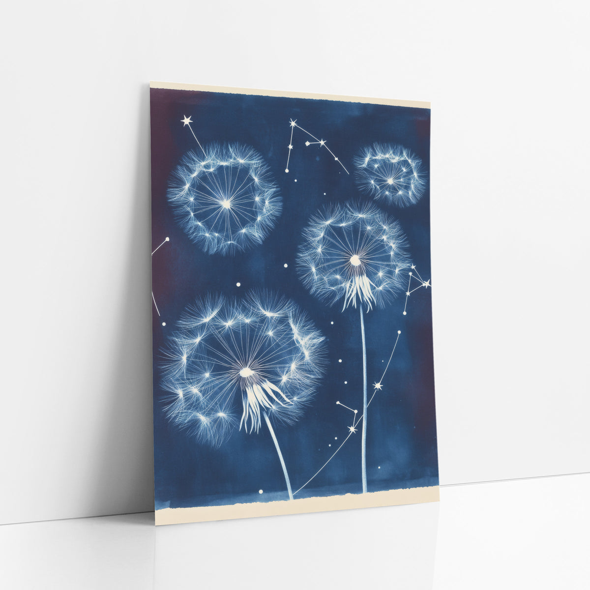 Three Dandelion Star Chart Botanical art print leaning against a white wall – white dandelion seed heads and star