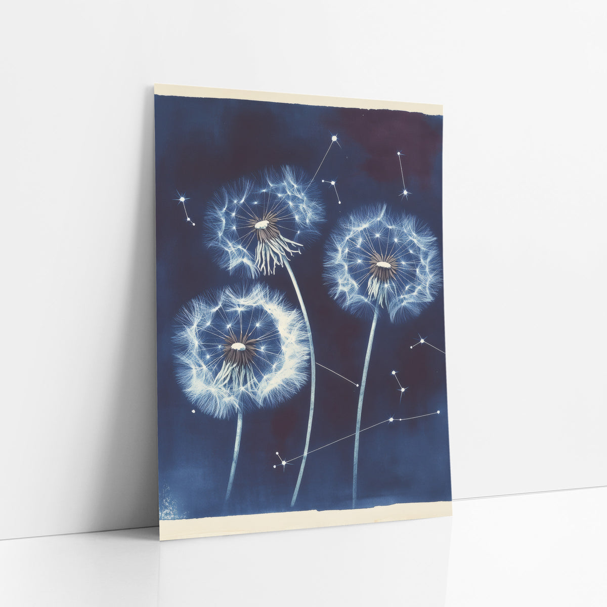 Midnight Dandelion Constellation Botanical art print leaning against a white wall – three white dandelion seed heads