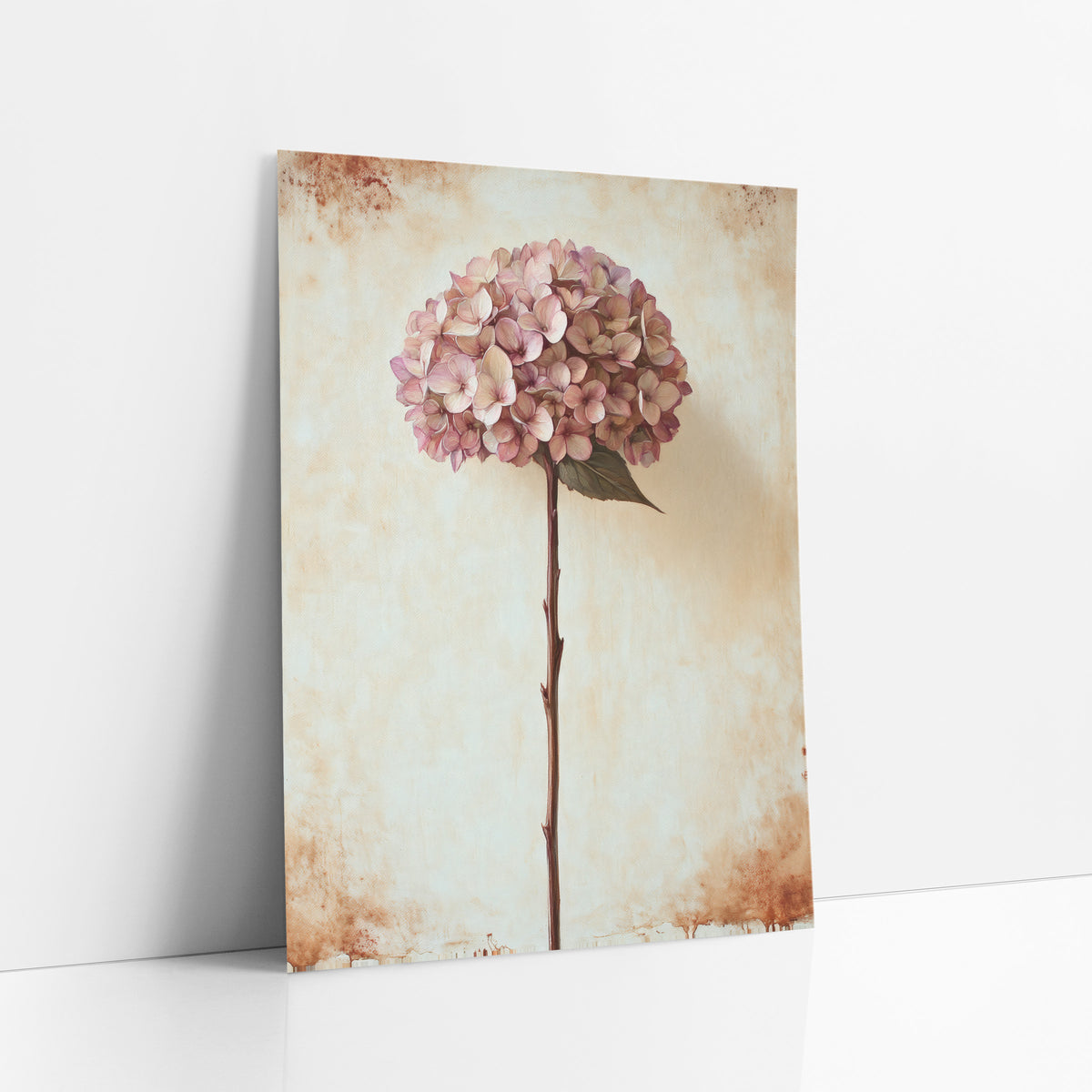 Tall Stem Dusty Hydrangea Vintage art print leaning against a white wall – dusty rose dried hydrangea on a tall stem with one