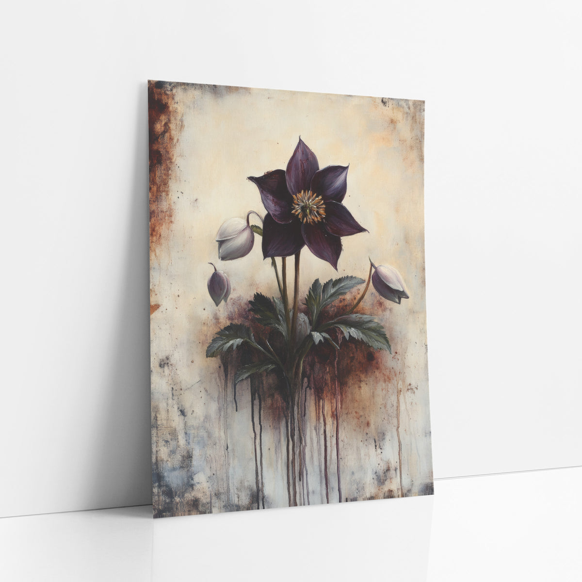 Drooping Hellebore Buds Rustic art print leaning against a white wall – deep plum hellebore flower with golden center