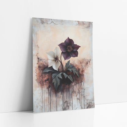 Plum and Cream Hellebore Botanical art print leaning against a white wall – plum and cream hellebore flowers with gray-green