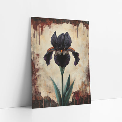 Parchment Iris Dripping Edge Gothic art print leaning against a white wall – single black iris with orange beard and green