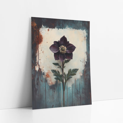 Upright Plum Hellebore Moody Botanical art print leaning against a white wall – single dark plum flower with pale yellow