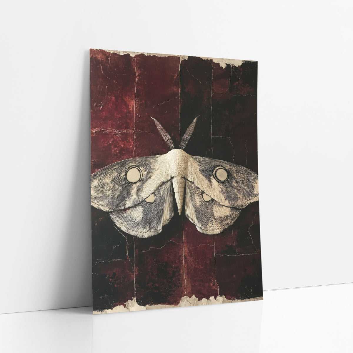 Ivory Moth Oxblood Dark Academia art print leaning against a white wall – pale moth with fine line wings and round eyespots