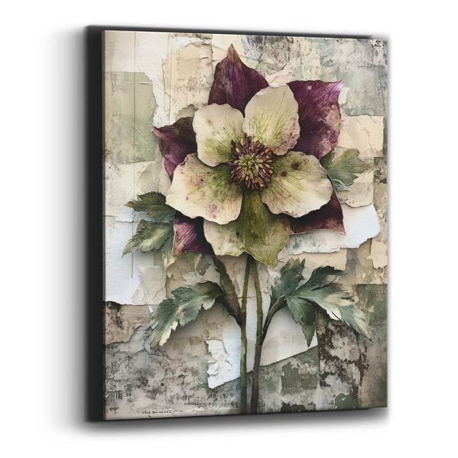 Twin Stem Hellebore Botanical Canvas Wall Art