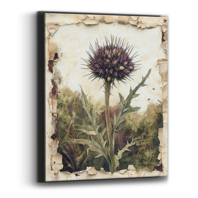 Purple Thistle Botanical Study Canvas Wall Art