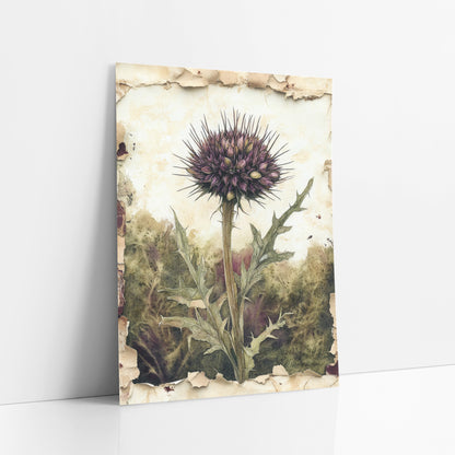 Purple Thistle Botanical Study art print leaning against a white wall – purple thistle bloom on a tall stem with spiky green