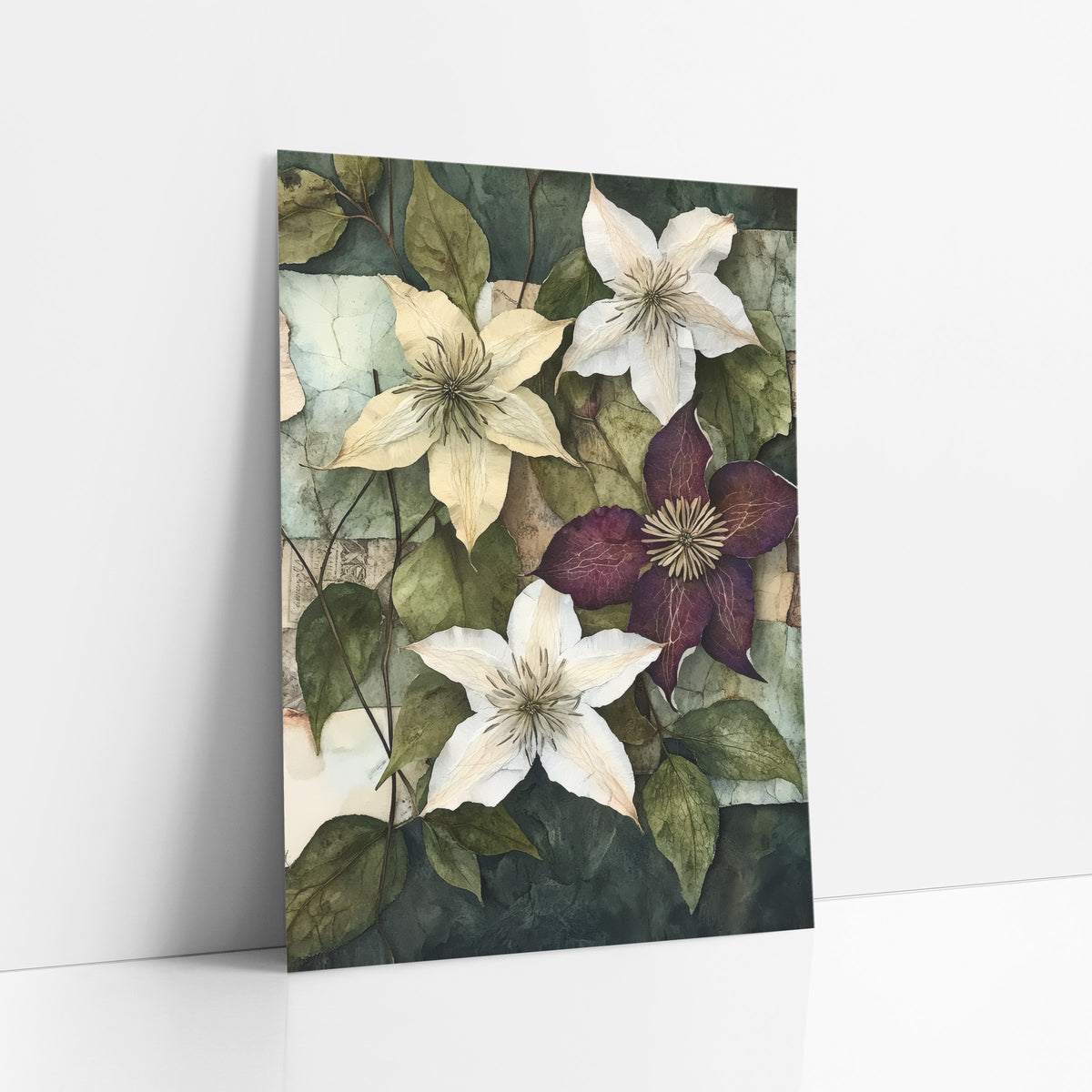 Cream Plum Clematis Collage Botanical art print leaning against a white wall – cream, white and plum clematis flowers