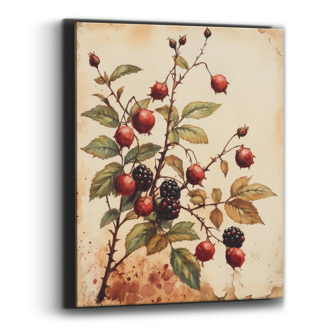 Rosehip and Blackberry Botanical Study Canvas Wall Art
