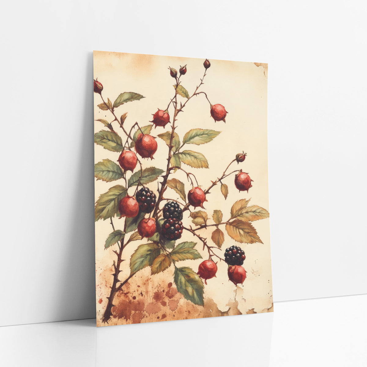 Rosehip and Blackberry Botanical Study art print leaning against a white wall – botanical study of red rosehips and dark