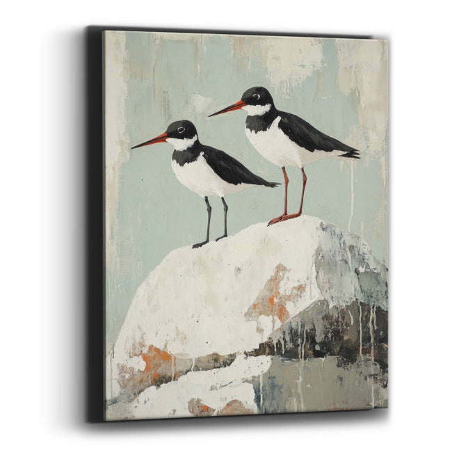Red Beak Oystercatchers Seafoam Coastal Canvas Wall Art