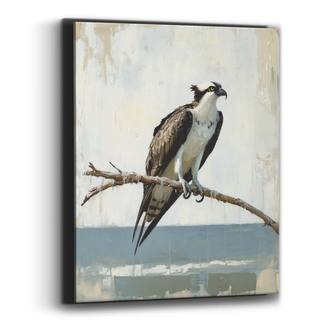 Perched Osprey Coastal Bird Study Canvas Wall Art
