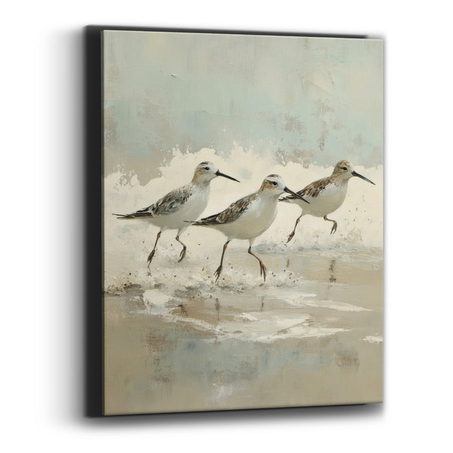 Sandpipers Running Shoreline Coastal Canvas Wall Art